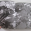 STEEL BALL RUN สตีล บอล รัน เล่ม 1-5 ฮิโรฮิโกะ อารากิ เขียน***สินค้าหมด***