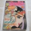 พาฝัน เล่ม 13