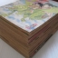 เดอะพัมคินไวน์ รักข้ามรุ่น ชุด เล่ม 11,12,13,14,15,16,17,18,19,20,21,22,24,25,26 ( 26 เล่มจบ ) ***สินค้าหมด***