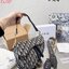 DIOR Saddle Bag with Strap 10" **รอบราคาพิเศษ** มาพร้อมสายครอสบอดี้สุดคุ้ม ไม่ได้รอบนี้คือพลาดน้า (ปกติสายยาวขายแยกนะคะ) กระเป๋ารุ่นยอดนิยม งานผ้าแจ็คการ์ดลาย Oblique ลูกเล่นห้อยด้วยตัวอักษร D ตรงหูหิ้วมีกิมมิค CD สีทอง