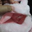 My Bunny Purse กระเป๋าถือสำหรับเด็กผู้หญิงค่ะ รูปกระต่ายน้อย