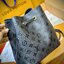 LV Neonoe BB bag Gray Other movies / LV Bucket Bag กระเป๋าทรงบัคเก็ตสีใหม่โทนเทา ทันสมัยและหรูหราสไตล์มินิมอล เกรดออริ ใช้งานต่างประเทศได้