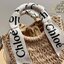 Chloe Straw Handbag Summer Beach Weave / CHLOE woody basket mini bag 8" กระเป๋าสานสไตล์มินิมอล ซับในผ้าอย่างดี มาพร้อมผ้าผูกหูกระเป๋า สวยลงตัวรุ่นนี้ไม่ควรพลาดน้า สวยปังไม่ไหว ภาพสินค้าถ่ายจากงานขายจริง น่ารักมากค่ะ