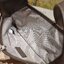 GUCCI Aphrodite small shoulder bag / GG shoulder bag / GUCCI BAG พร้อมส่งที่ไทย กระเป๋าสะพายไหล่ รูปทรงเก๋ ผสานดีไซน์ของความคลาสสิคได้อย่างลงตัว