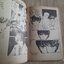 เลมอน เล่ม 40