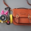 กระเป๋ากล้อง mini P1