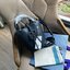 ของแท้ 💯% Tory burch miller mini bucket bag กระเป๋าทรงคลาสสิคจากTory burch มาพร้อมกับรูปทรงถัง ขนาดน่ารักกำลังดี