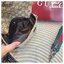 GUCCI GG canvas small crossbody bag กระเป๋าสะพายทรงใหม่เรียบง่าย ที่สุดของความคลาสสิค ด้านหลังมีช่องเก็บแต่งหนังปั้มแบรนด์สวยหรูโดดเด่น เป็น Unisex ใช้งานได้ทั้งชายหญิง