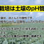เครื่องวัด pH ดิน ยี่ห้อ Shinwa (ชินวะ) ผลิตและนำเข้าจากญี่ปุ่นแท้ รับประกันคุณภาพ