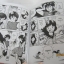 My Name is KOTARO ! ชุด เล่ม 1 ,2,3,4,5,6,7,8,9,10,11,12,13,14,15,16,17,18,19,20,21,22,24 (ขาดเล่ม 23) Tatsuya Hiruta เขียน (ยังไม่จบชุด)***สินค้าหมด***
