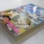 HOME โฮม ครบชุด 2 เล่มจบ รินโกะ อุเอดะ เขียน****สินค้าหมด***