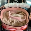 Kate spade new york Flamingo Pippa Bucket Bag 🍭รุ่นแนะนำ ราคานี้หายากแล้วจร้าา กระเป๋าหิ้วหรือสะพายข้างได้ ทรงถัง วัสดุหนังแกะแท้ สัมผัสหนังนิ่มมือดีมากๆค่ะ ด้านหน้าแต่งรูป Flamingo ดูเก๋มากๆค่ะ มีอะไหล่แบรนด์ ปากกระเป๋าแบบหูรูด ภายในกระเป๋าโล่ง ใ