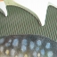 TOUCH and FEEL DINOSAUR หนังสือเสริมพัฒนาการเด็กด้านภาษามือสอง