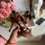 YSL TRIBUTE HEEL / SAINT LAURENT TRIBUTE HEEL / YSL HIGH HEEL เกรดออริจินอล รองเท้าส้นสูงแบรนด์หรู ที่สาวๆ ทุกคนควรมี ไว้ออกงานหรือใส่ทำงานได้ คู่นี้คือปังได้ตลอดกาล เพิ่มความสูงเพรียว สวยหรูมากค่ะ