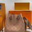 พรีเมี่ยมกิ๊ฟแท้ 100% 】หนังแท้ LOUIS VUITTON Muria Mahina Perforated Calf Leather Shoulder Bag Vert