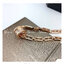 BVLGARI Necklace B.zero1 46cm สร้อยคอบุลการี ภาพสินค้าถ่ายจากงานขายจริง ใช้งานต่างประเทศได้