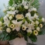 ดอกไม้ตัดริบบิ้น