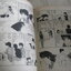 ตระกูลอลเวง ชุด เล่ม 2,4,5 โชจิ โยะโกะ เขียน