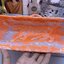 DIOR Book Tote Fluorescent Orange Toile de Jouy Transparent Canvas เกรดออริจินอล ภาพสินค้าถ่ายจากงานขายจริงใช้งานต่างประเทศได้