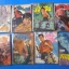 พันธ์เสือ เล่ม 3 - เล่ม 10 (เล่มจบ) จำนวน 8 เล่ม เขียนโดย รังรอง