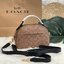 COACH SERENA SATCHEL CROSSBODY BAG กระเป๋าทรงโดมเล็ก น่ารัก แต่ใส่ของได้จุเลยทีเดียว!! มี2ช่องซิปหลัก ช่องค่อนข้างกว้าง สามารถใส่กระเป๋าเงินใบกลางได้;ของจำเป็นอื่นๆได้ครบเลยค่ะ มีช่องเล็กให้ใส่ของจุกจิก ด้านหลังมีช่องเล็กให้อีกช่องค่ะ พร้อมสายยาวถอดออกได้