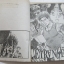 ETRVNGER เชื้อชั่วฆ่าไม่ตาย !! ชุด เล่ม 1- 5 Tomizawa Jun เขียน (สภาพเช่า)***สินค้าหมด***