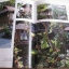 สวนในบ้าน เล่ม 22 สวนเมืองร้อน (Tropical Garden) ผศ.ธนาศรี สัมพันธารักษ์ เพ็ชรยิ้มและทิพาพรรณ ศิริเวชฎารักษ์ เขียน***สินค้าหมด***
