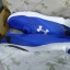 Under Armour Speedform Apollo M8us/41eu