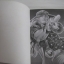 STEEL BALL RUN สตีล บอล รัน เล่ม 1-5 ฮิโรฮิโกะ อารากิ เขียน***สินค้าหมด***