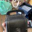 Dior Phone Oblique Bag / Dior Pouch Phone Oblique เกรดเทพออริจินอล ได้ใจหนุ่มๆไปเลยใบนี้!! หลงรักตั้งแต่แรกเห็นมีอยู่จริง!!