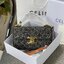 Celine Triomphe shoulder handbag Bag / Celine box triomphe in Natural Calfskin Tan กระเป๋าสะพายเรียบหรูและดูทันสมัยใบนี้ออกมา ให้คุณเลือกสะพายในชีวิตประจำวันเข้ากับการแต่งตัวสบาย ๆ หรือถอดสายถืงออกงานปาร์ตี้สังสรรค์ ก็ช่วยให้คุณดูโดดเด่นได้เช่นกัน นอกจากน