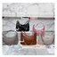 GIVENCHY SMALL MOON CUT OUT SHOULDER BAG 25cm พร้อมส่งที่ไทย กระเป๋าสะพายไหล่งานหนังเต็มใบ หน้าติดโลโก้แบรนด์มาพร้อมสายโซ่ งานสวยตามรูป อะไหล่เงิน สายสะพายปรับระดับได้ เกรดสวยหรู สาวๆ รีบจับจอง อย่าคิดนาน ราคานี้กับคุณภาพถือว่าคับแก้วมั๊กมากกกก