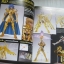 SAINT CLOTH MYTHOLOGY เซนต์คลอธมิธโธโลจี ***สินค้าหมด***