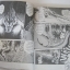 หมาป่าอสูร เล่มเดียวจบ Haruhiko Masuda เขียน***สินค้าหมด***