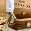 รุ่นฮิต รุ่นขายดี รุ่นที่สาวๆต้องมีค่ะ!! COACH SMALL TOWN BUCKET WITH DANDELION PRINT ((2310)) พร้อมส่งที่ไทยอีกครั้ง ห้ามพลาดค๊าาา😘 กระเป๋าทรงถัง หนังแท้ลายหนังสวยนิ่มอย่างดีค่ะ!