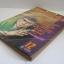 นินจาค้วาเมฆ เล่ม 12 SAITO TAKAO เขียน***สิค้าหมด***