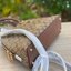 Coach KATY SATCHEL IN SIGNATURE CANVAS (COACH 2558)
