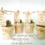 ของชำร่วยกระบองเพชรแคคตัสคละชนิด