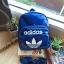 Adidas Classic Mini Backpack กระเป๋าเป้สะพายขนาดกลาง วัสดุหนังแก้ว ขนาดกะทัดรัด กันน้ำได้ เปิดปิดด้วยซิปเดียว ใส่มินิไอแพค กระเป๋าสตางค์ยาวได้ มีสายสะพายสองเส้น สามารถสะพายเป็นทรงครอสบอดี้ หรือเป้ก็น่ารักไปเลยคร้า!