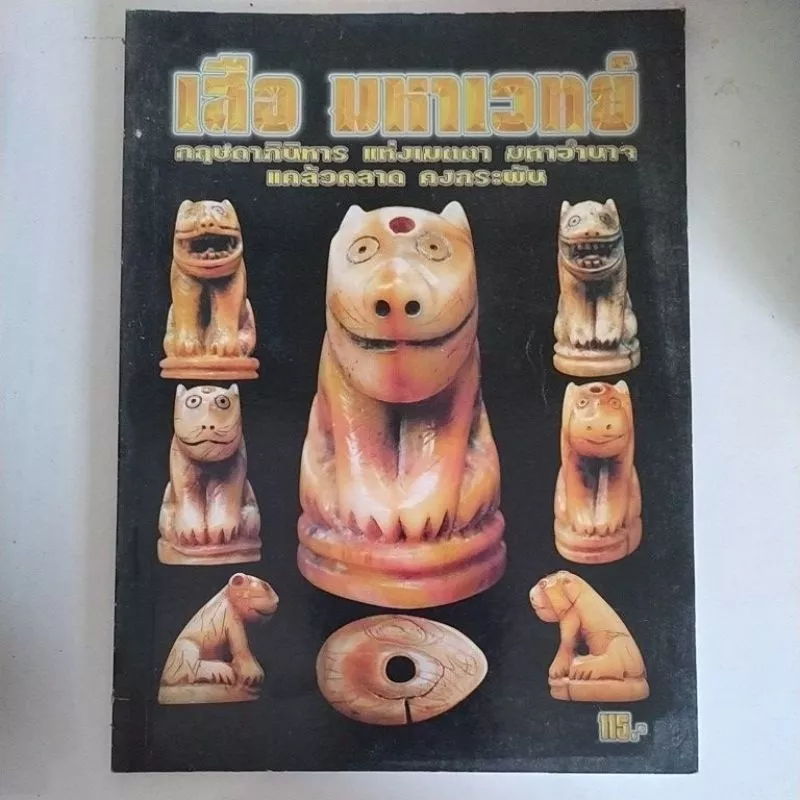 หนังสือ เสือมหาเวทย์